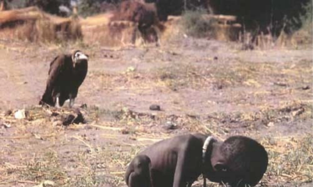 九年级历史与社会全册 第一单元第一课第三框  南北 关系与  发展 主题课件 人教版 课件