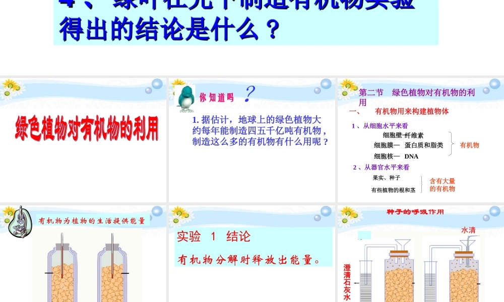 七年级生物上册 第三单元第四章第二节绿色植物对有机物的利用2课件 人教新课标版 课件