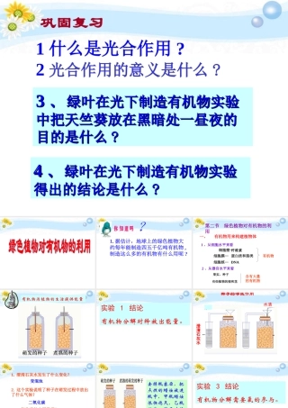 七年级生物上册 第三单元第四章第二节绿色植物对有机物的利用2课件 人教新课标版 课件