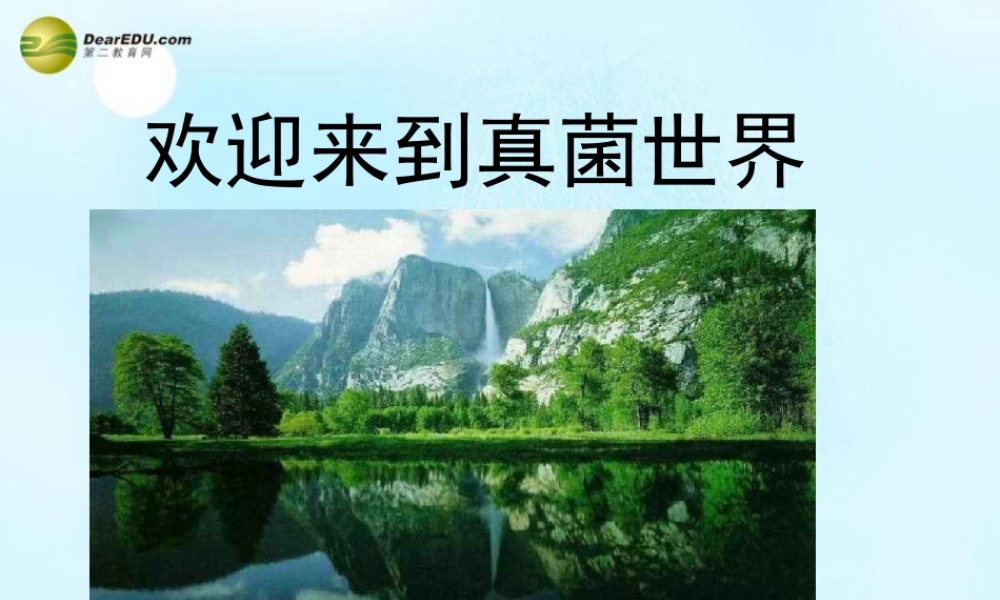 八年级生物上册 第五单元 第四章 第三节 真菌课件 新人教版 课件