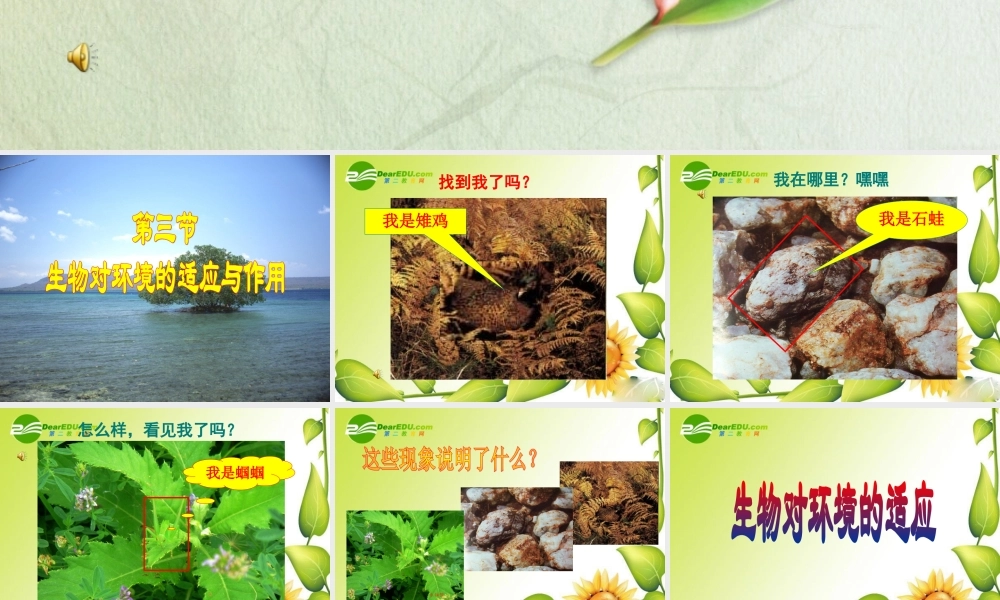 七年级生物第三节 生物对环境的适应与作用课件