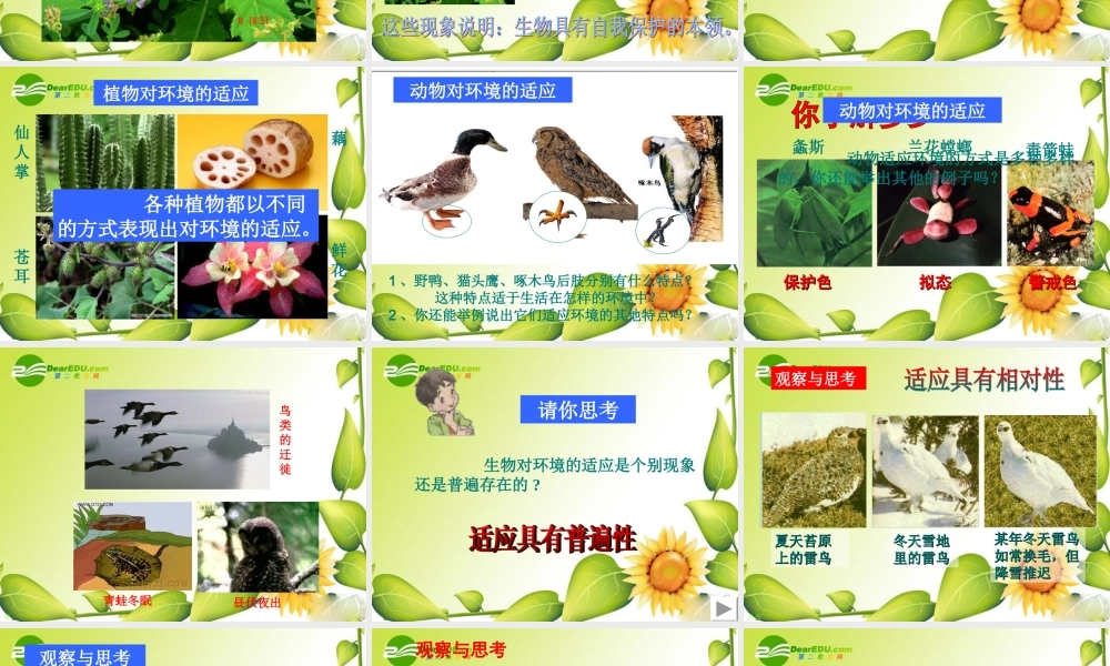 七年级生物第三节 生物对环境的适应与作用课件