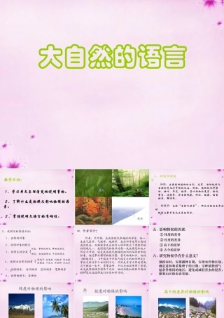 八年级语文上册 16 大自然的语言课件4 (新版)新人教版 课件