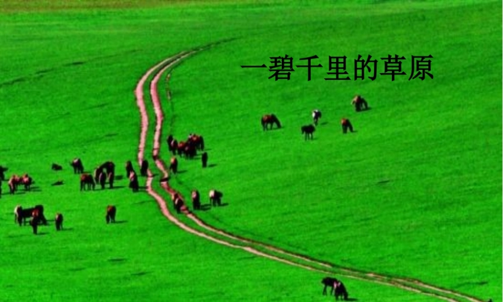 4.把铁路修到拉萨