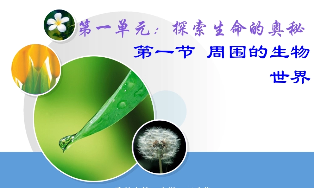 我们周围的生物