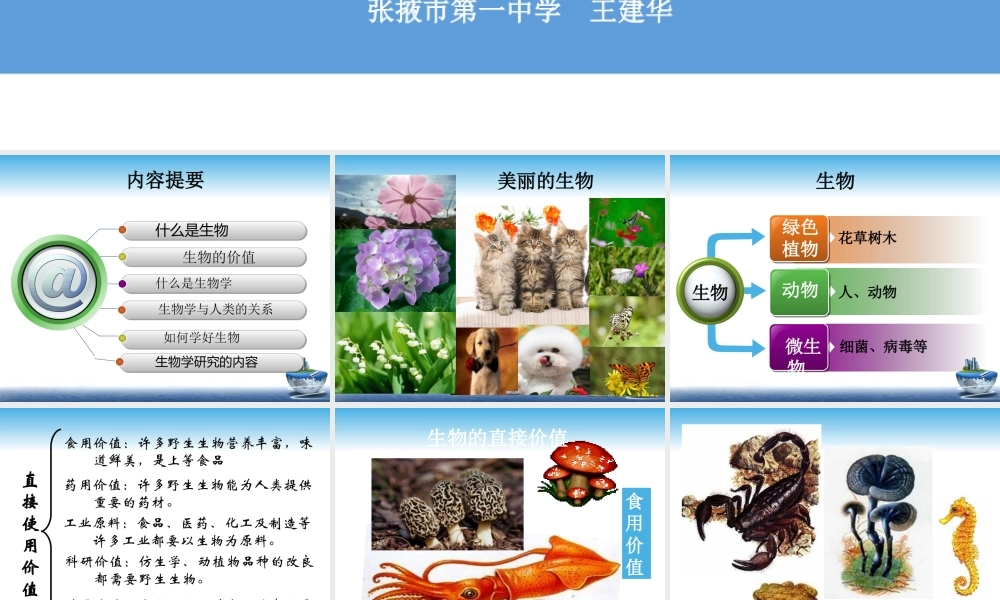 我们周围的生物