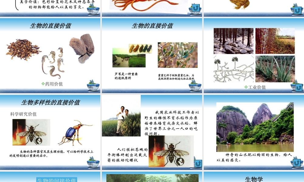 我们周围的生物