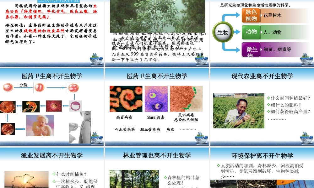 我们周围的生物