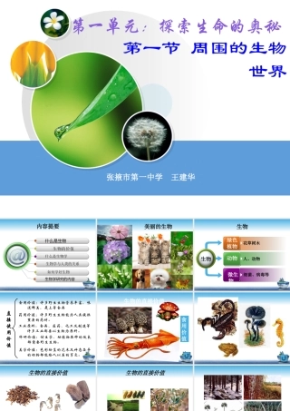 我们周围的生物