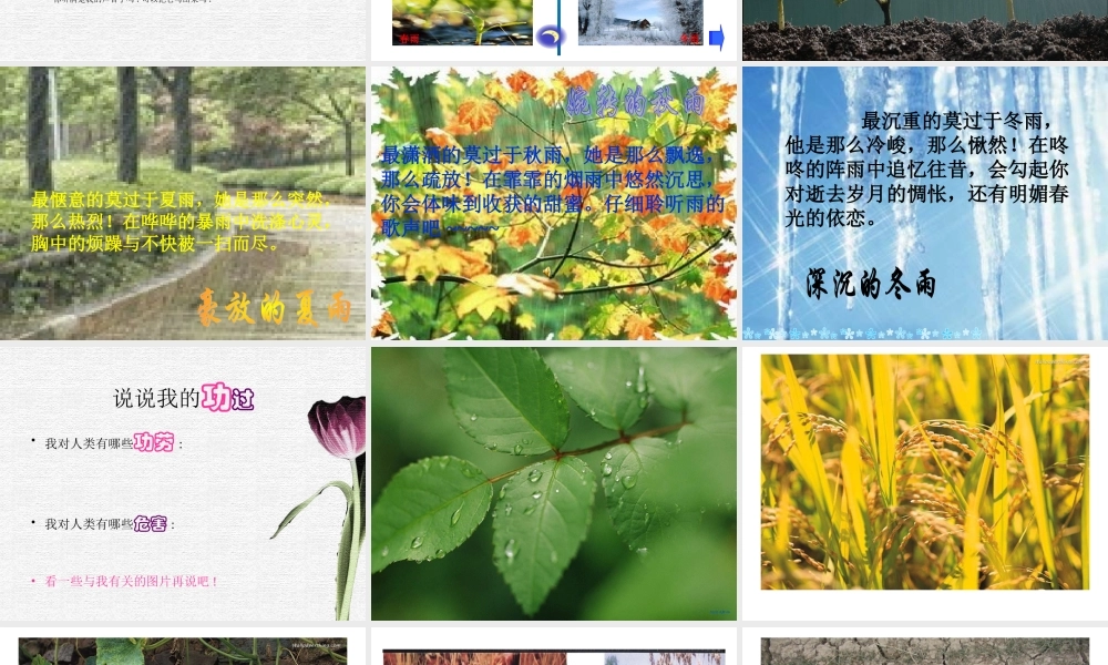 雨的诉说综合性学习