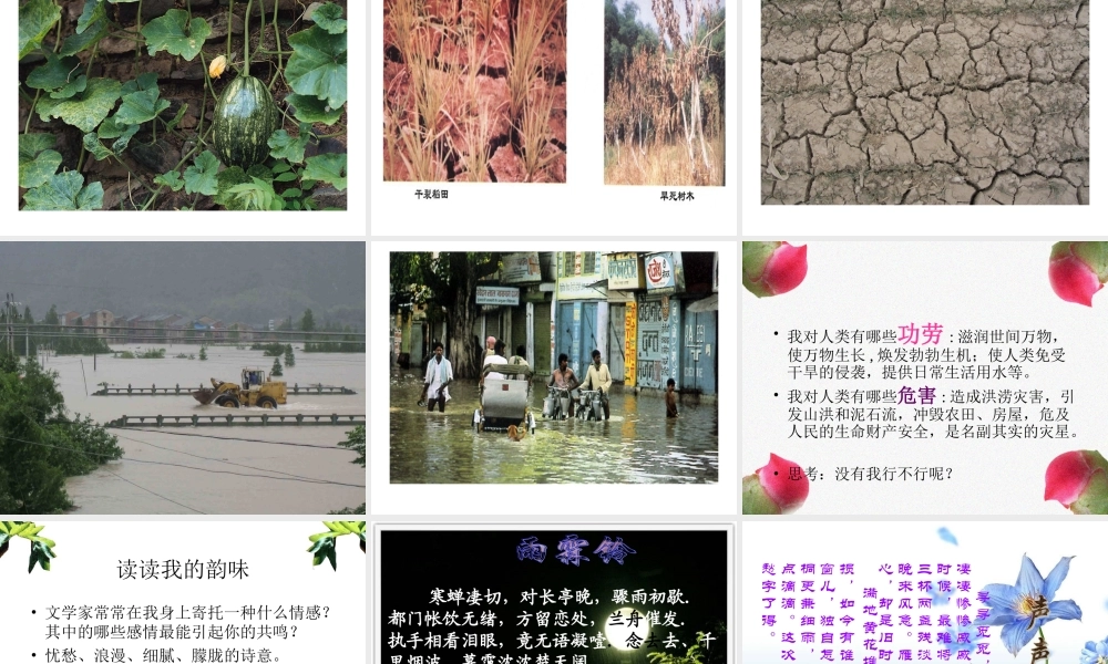 雨的诉说综合性学习