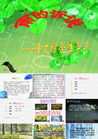 雨的诉说综合性学习