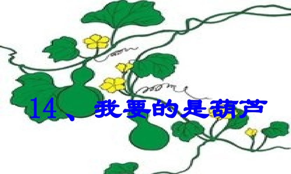 我要的是葫芦课件