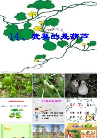 我要的是葫芦课件