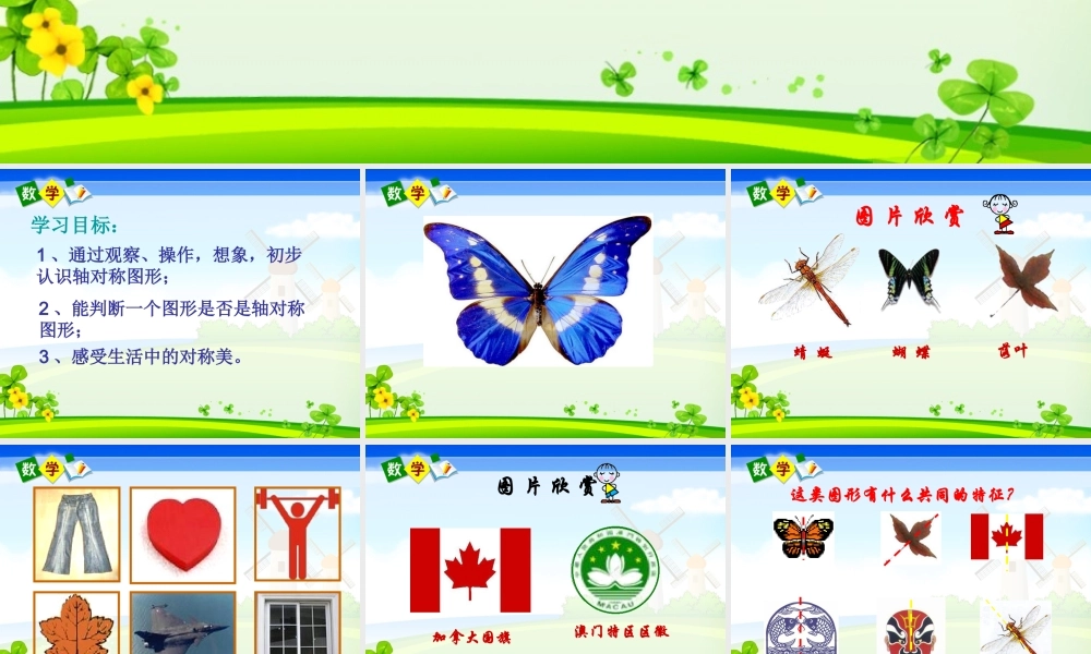 二年级下册《轴对称图形》