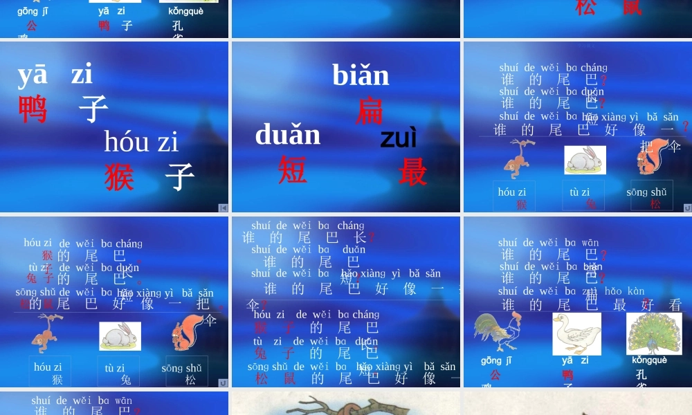 比尾巴课件(新课标人教版一年级下册语文课件)