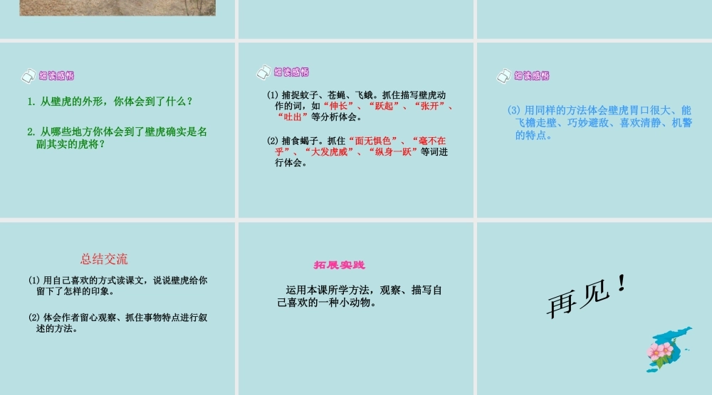 《飞檐走壁的虎将》课件