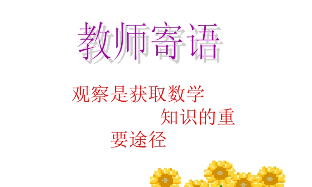 平面直角坐标系3