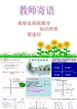 平面直角坐标系3