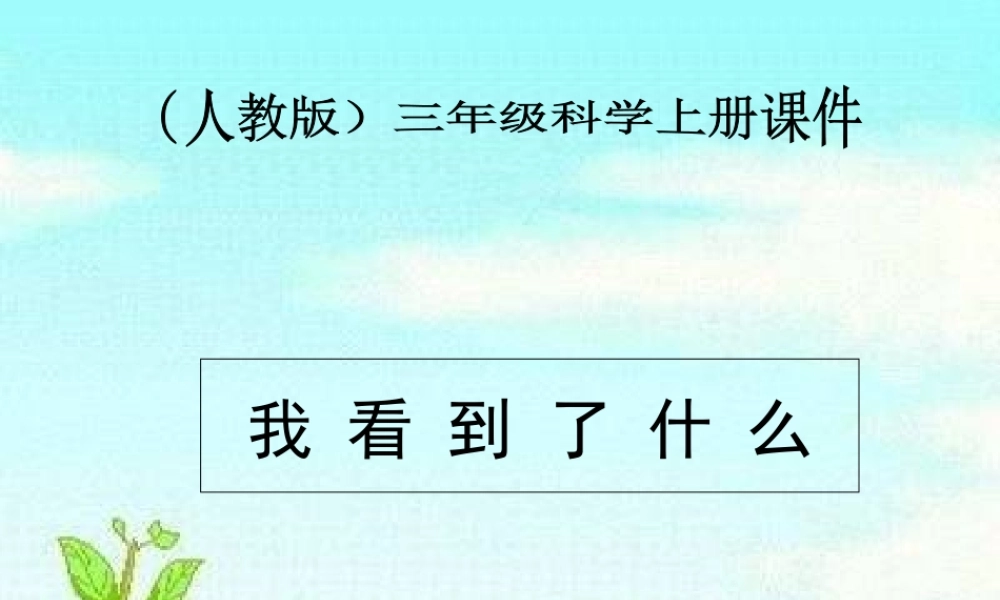 (人教版)三年级科学上册课件-我看到了什么-1