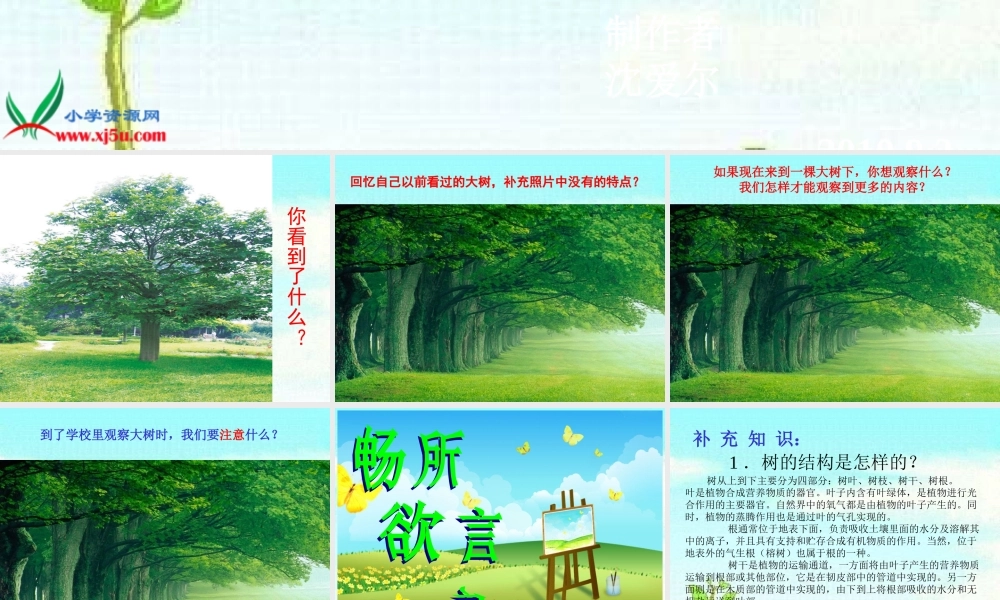 (人教版)三年级科学上册课件-我看到了什么-1