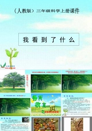 (人教版)三年级科学上册课件-我看到了什么-1