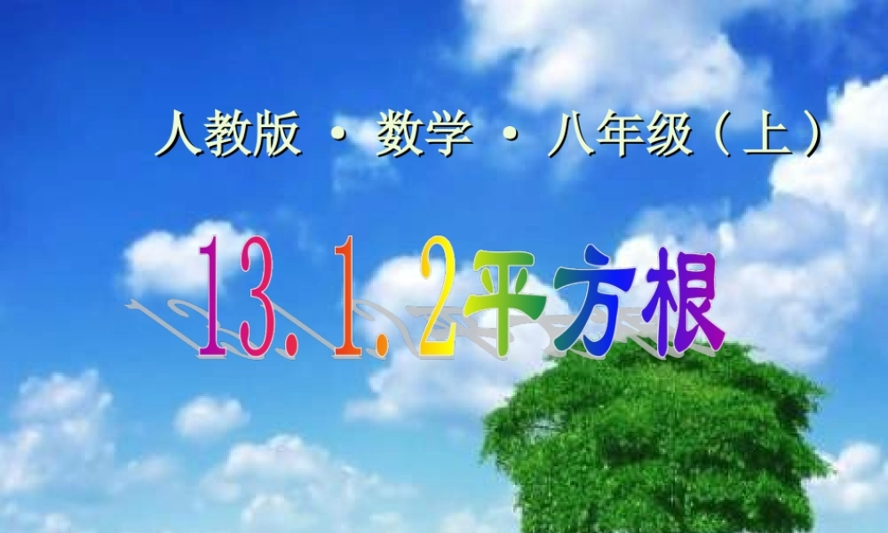 13.2.2平方根