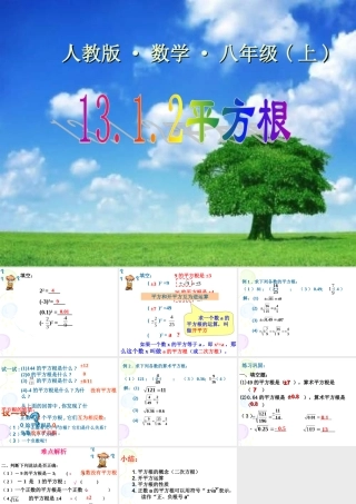 13.2.2平方根