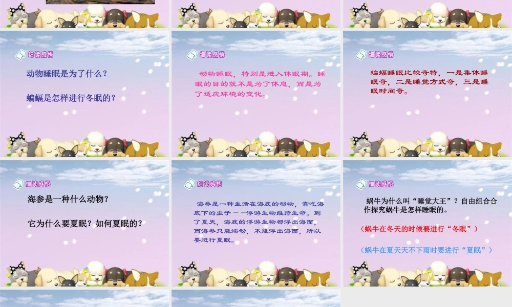 第13课《动物的睡眠》课件