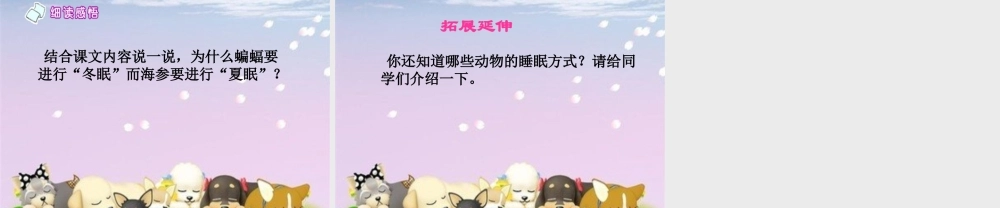 第13课《动物的睡眠》课件