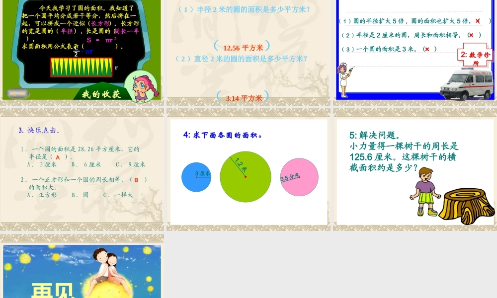 圆的面积PPT课件1