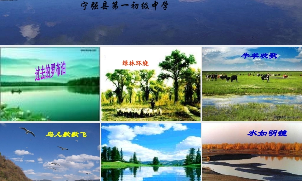 罗布泊-消逝的仙湖