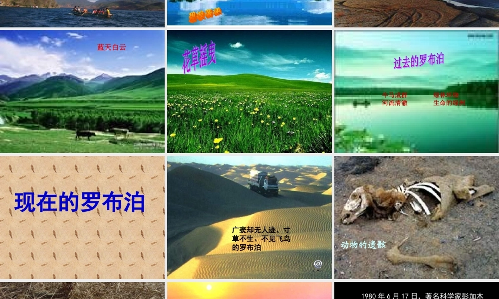 罗布泊-消逝的仙湖