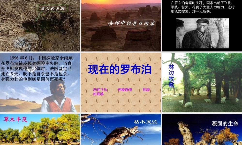 罗布泊-消逝的仙湖