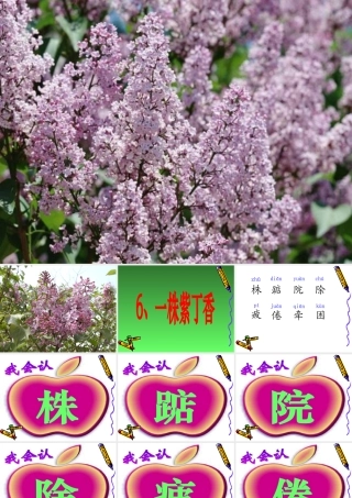 《一株紫丁香》