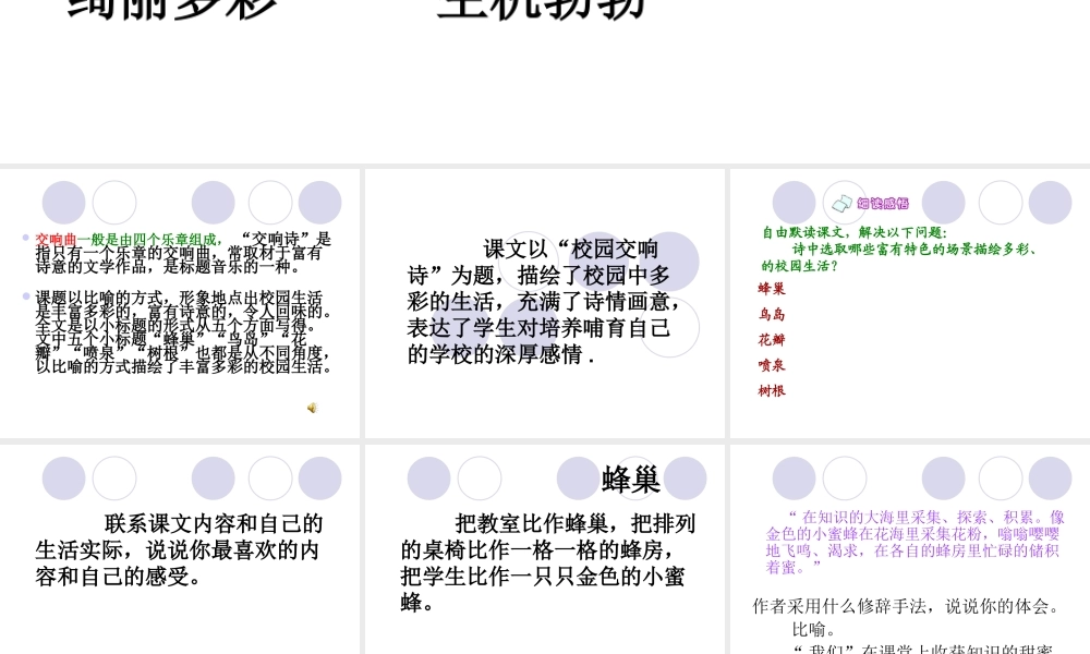 《校园交响乐》课件