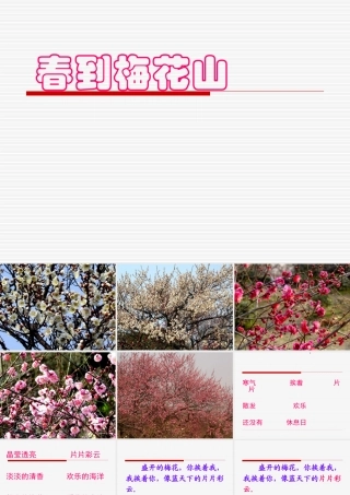 春到梅花山ppt