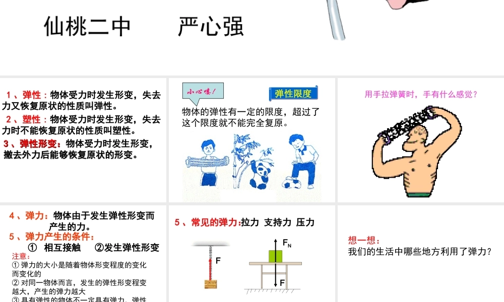 弹力和弹簧测力计课件