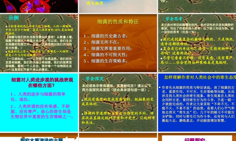 《细菌的启示》教学设计