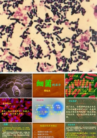 《细菌的启示》教学设计