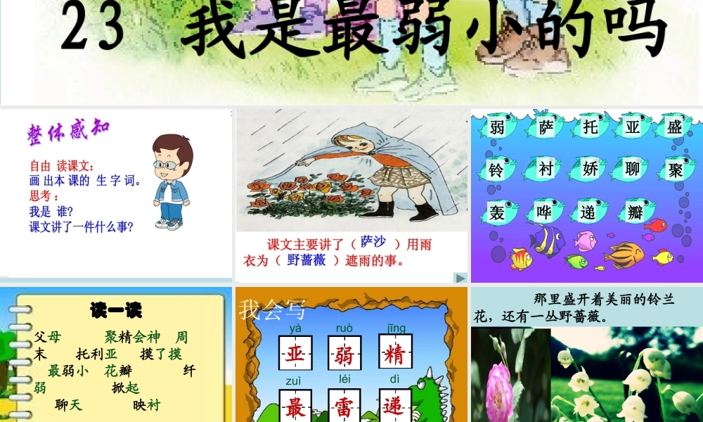 23我是最弱小的吗ppt课件