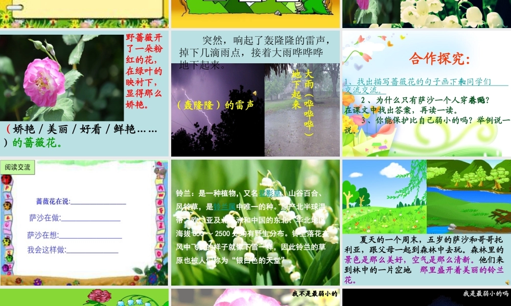 23我是最弱小的吗ppt课件