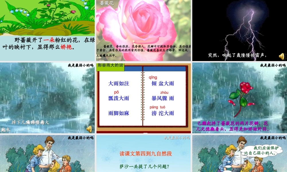 23我是最弱小的吗ppt课件