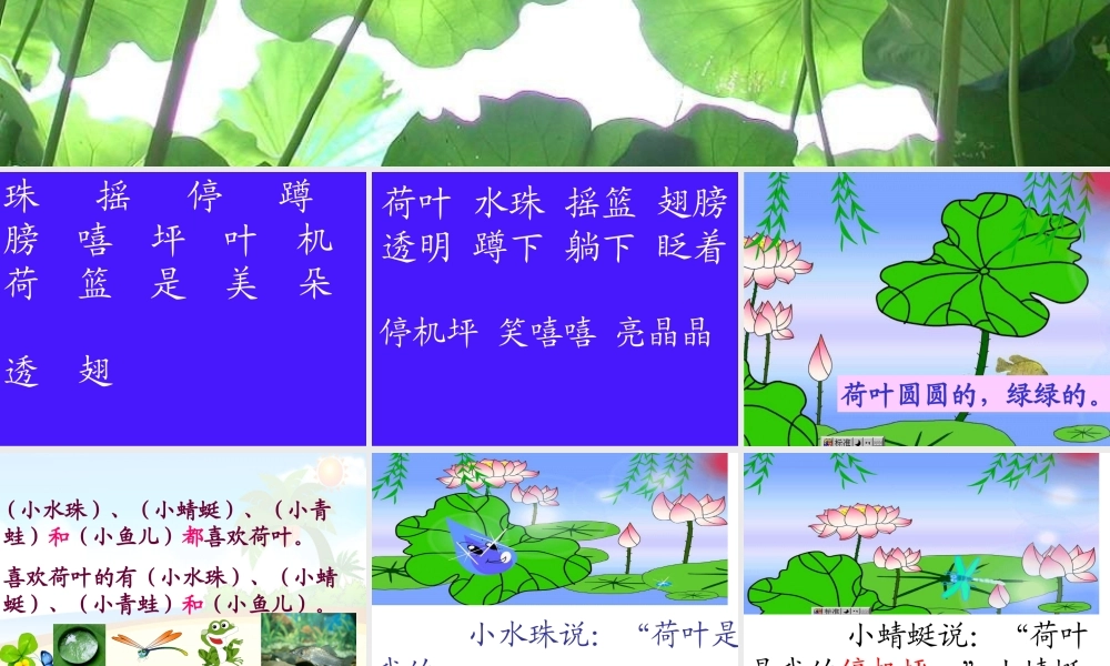 荷叶圆圆第二课时