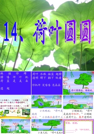荷叶圆圆第二课时