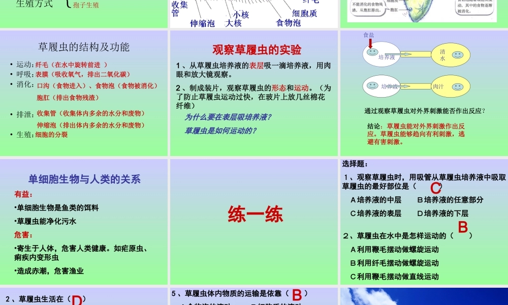 《第3节-单细胞的生物体》课件5