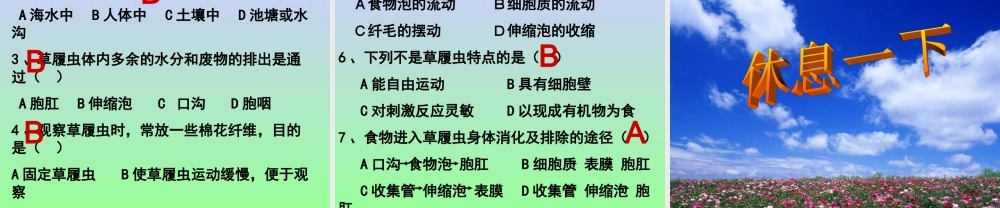 《第3节-单细胞的生物体》课件5