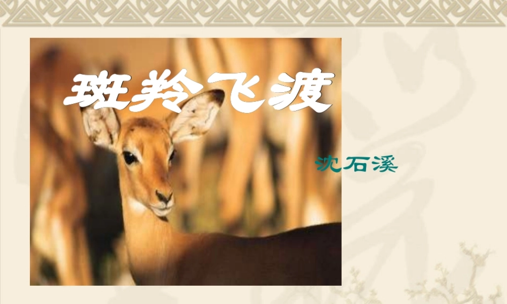 斑羚飞渡赛课