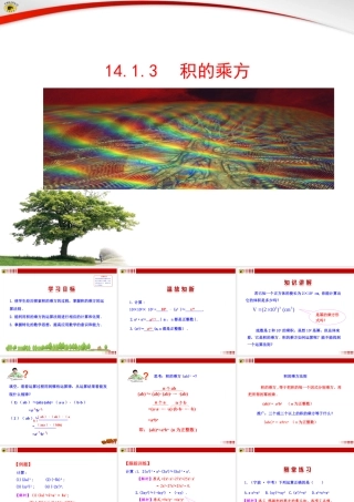 14.1.3积的乘方.1.3-积的乘方课件