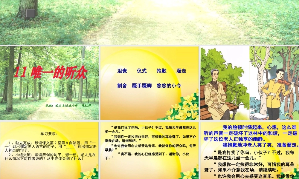 《唯一的听众》课件